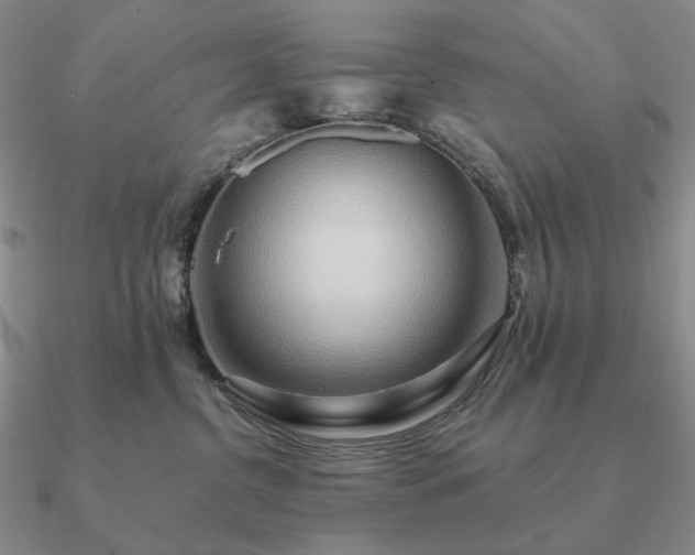 X0000090910380200708061527