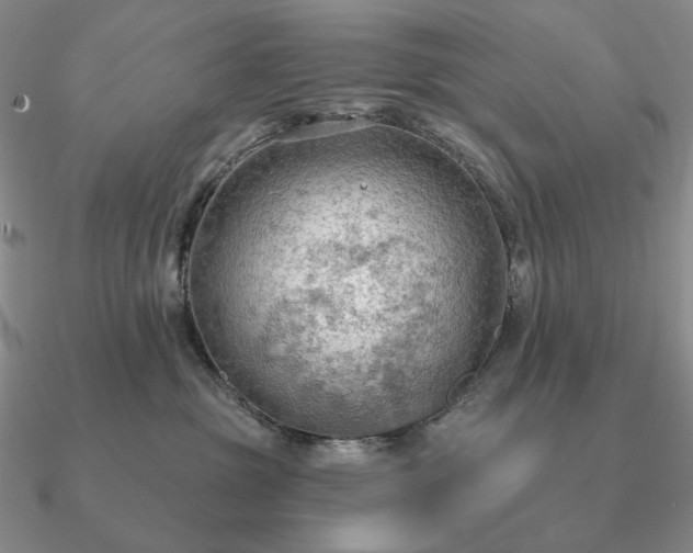 X0000090910381200708061527