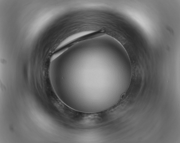 X0000090910382200708061527