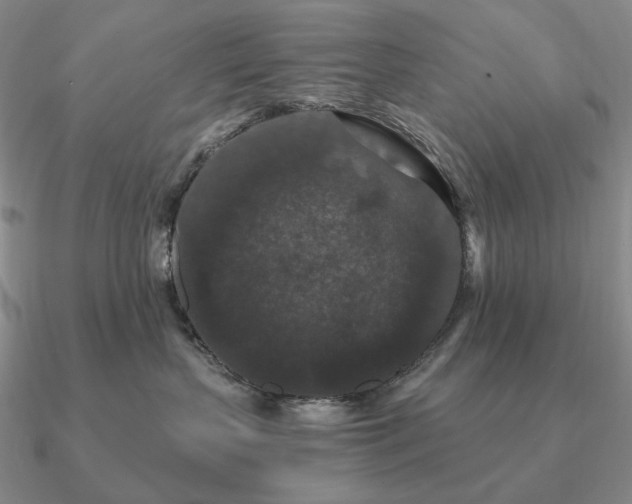 X0000090910383200708061527