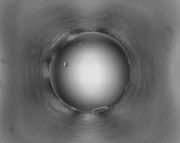 X0000090910384200708061527