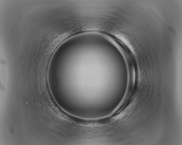 X0000090910385200708061527