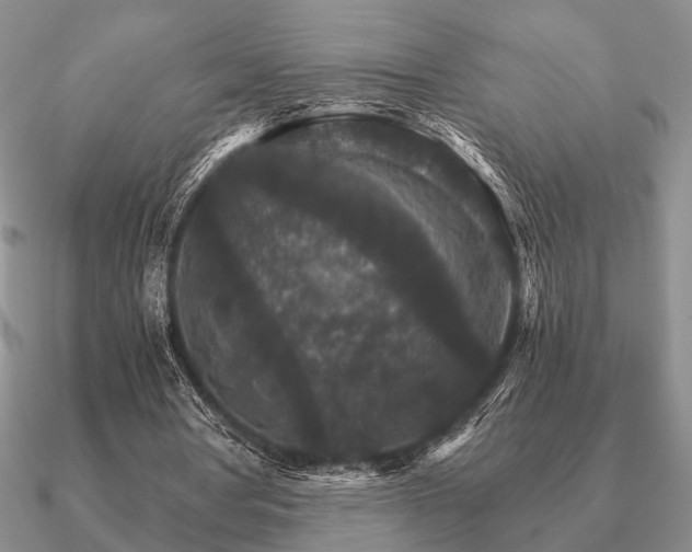 X0000090910386200708061527