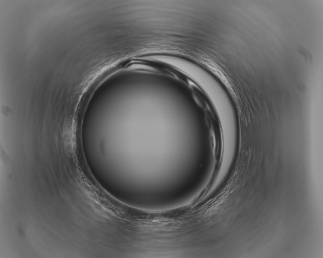 X0000090910387200708061527