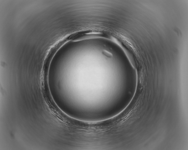 X0000090910388200708061527