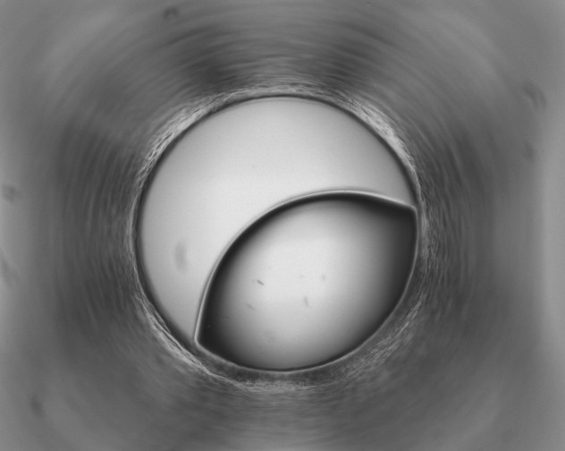 X0000090910389200708061527