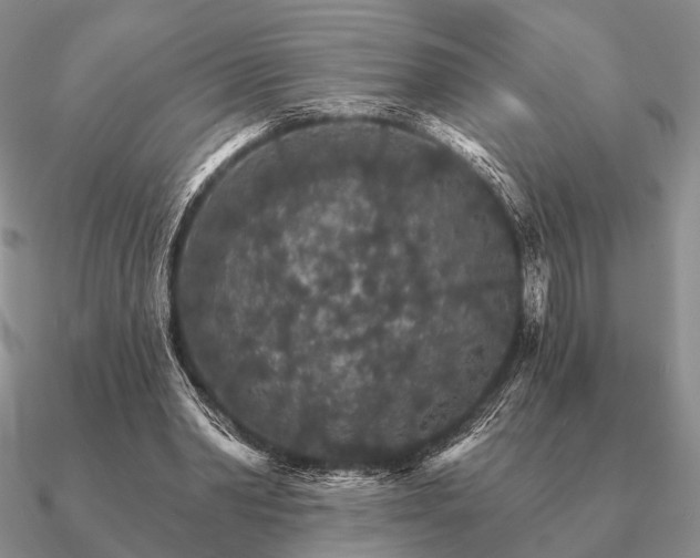 X0000090910390200708061527