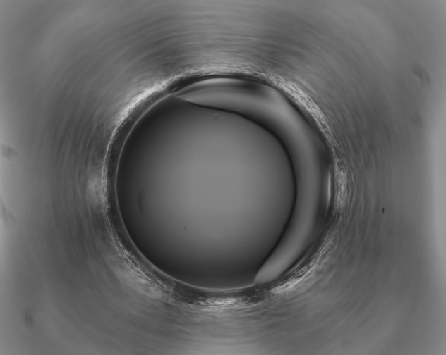 X0000090910391200708061527