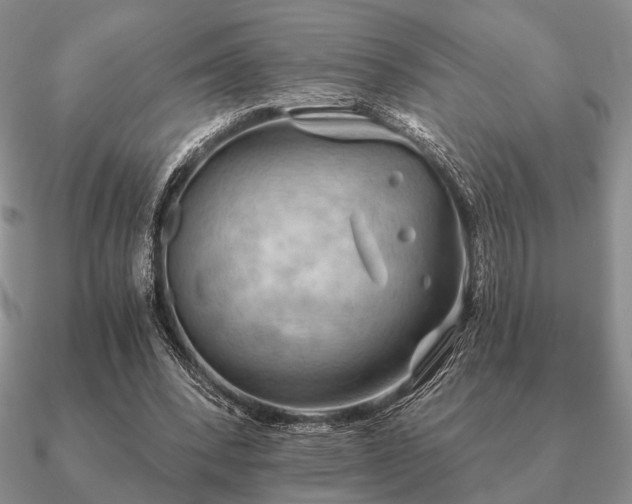 X0000090910392200708061527