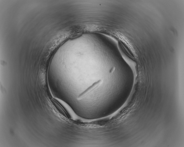 X0000090910393200708061527