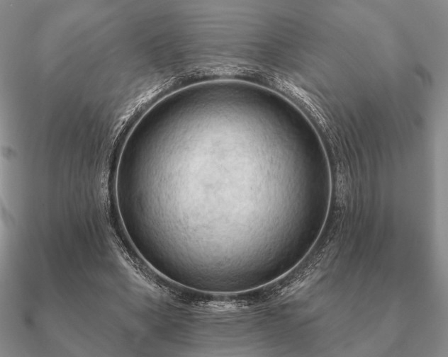 X0000090910394200708061527