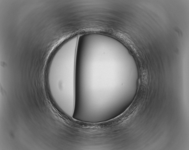 X0000090910395200708061527