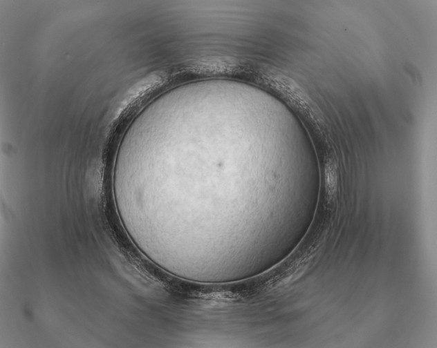 X0000090910396200708061527