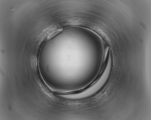 X0000090910397200708061527