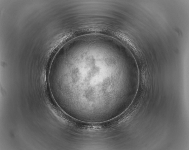 X0000090910398200708061527