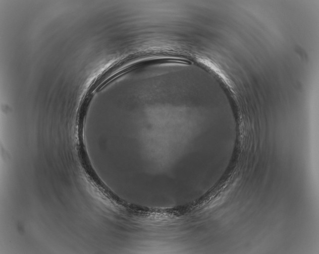 X0000090910399200708061527