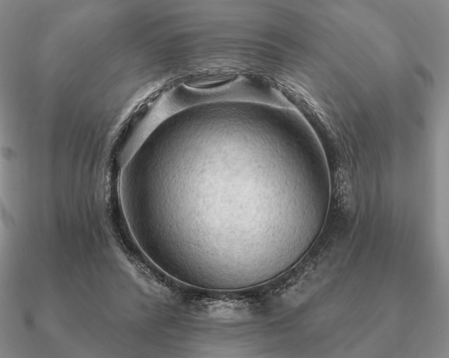 X0000090910400200708061527