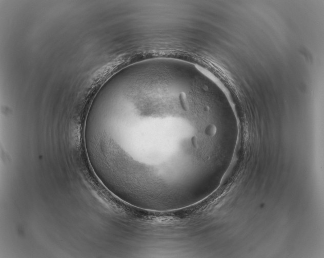 X0000090910401200708061527