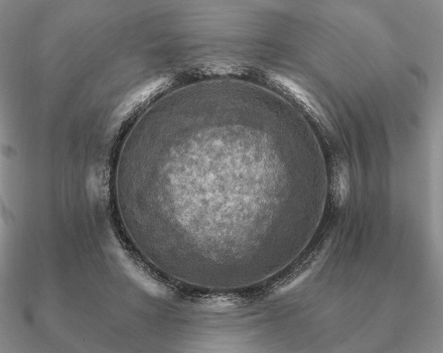 X0000090910402200708061527