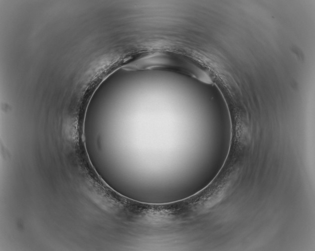 X0000090910403200708061527