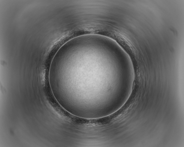 X0000090910404200708061527