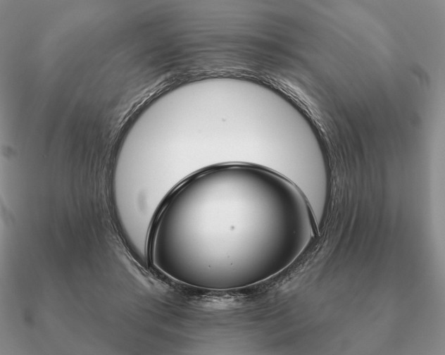 X0000090910405200708061527