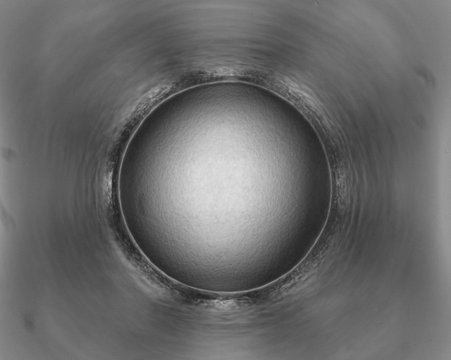 X0000090910406200708061527