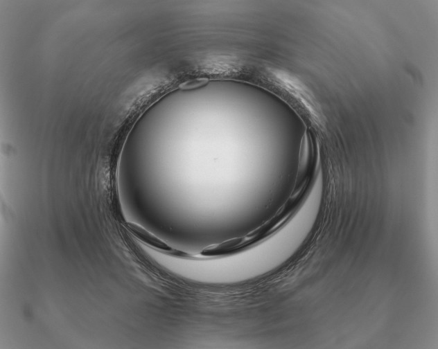 X0000090910407200708061527