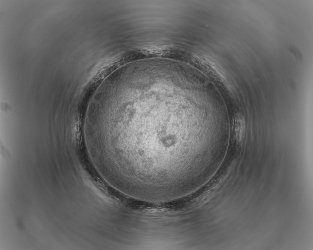 X0000090910408200708061527