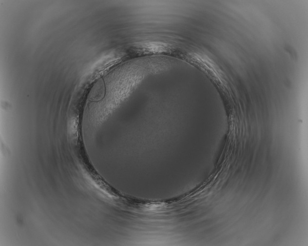 X0000090910410200708061526