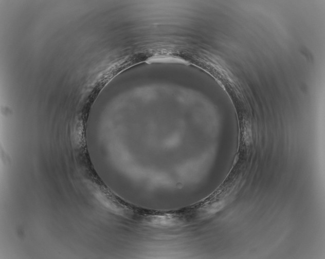 X0000090910411200708061526