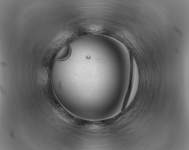 X0000090910412200708061526