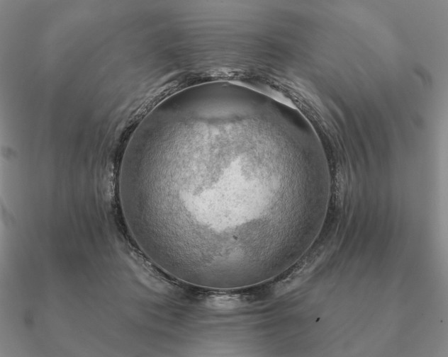 X0000090910413200708061526