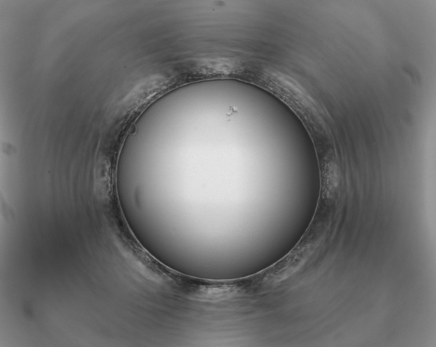 X0000090910414200708061526