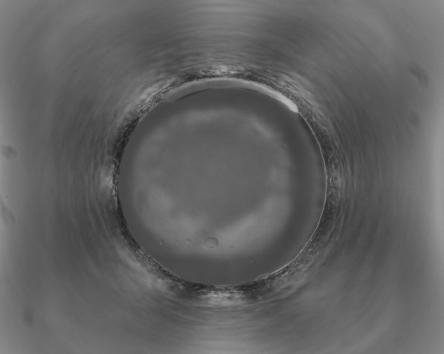 X0000090910415200708061526