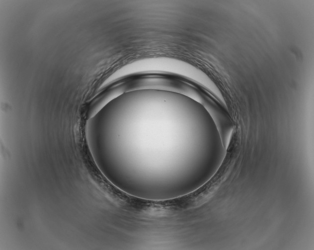 X0000090910416200708061526