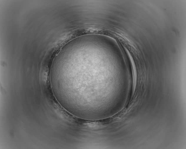 X0000090910417200708061526