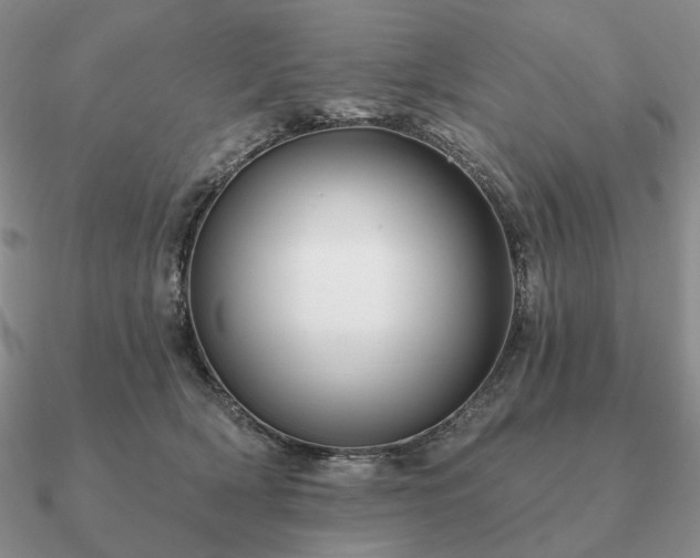 X0000090910418200708061526