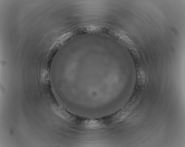 X0000090910419200708061526