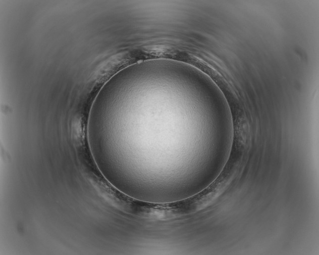 X0000090910420200708061526