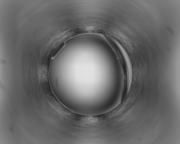 X0000090910421200708061526