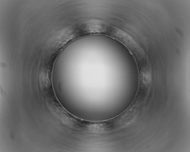 X0000090910422200708061526