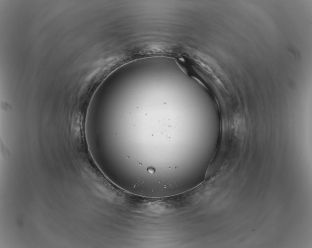 X0000090910423200708061526