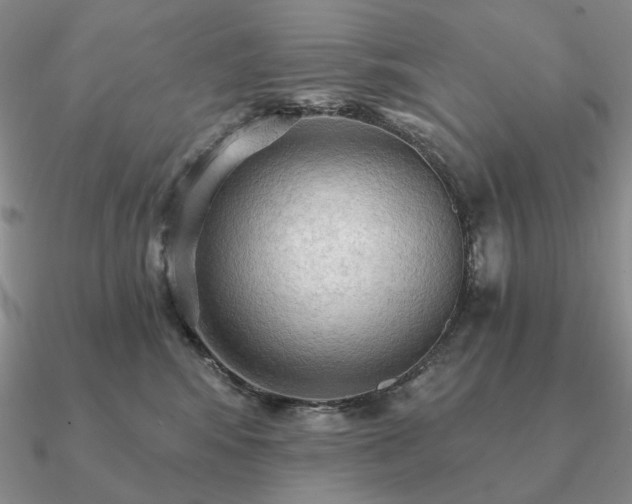 X0000090910424200708061526