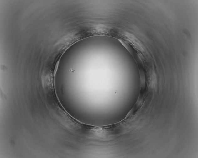 X0000090910425200708061526