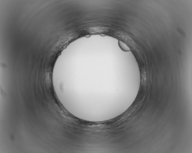 X0000090910426200708061526