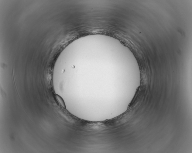 X0000090910427200708061526