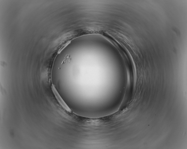 X0000090910428200708061526