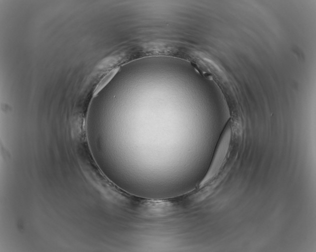 X0000090910429200708061526