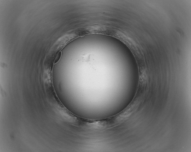 X0000090910430200708061526